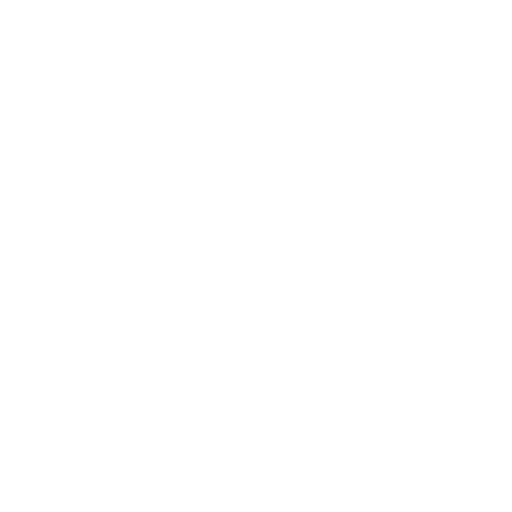 icon_seo